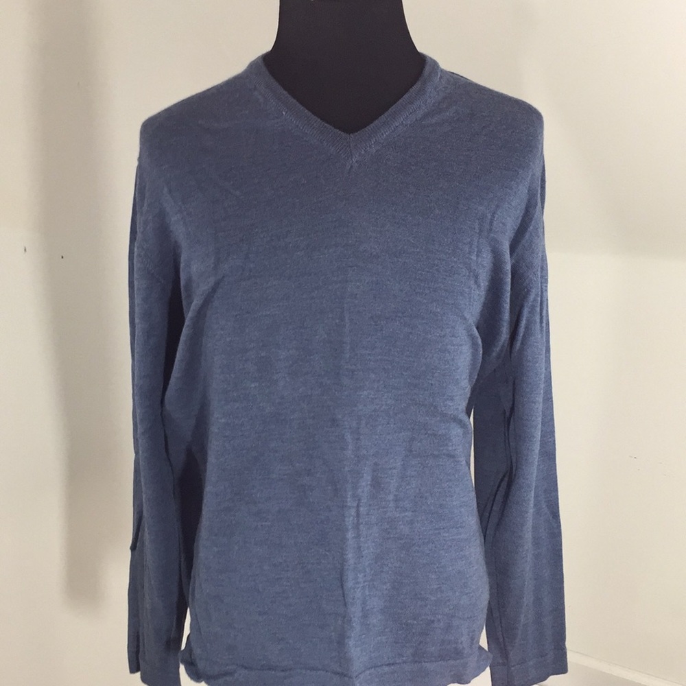 EUC 100% Merino Wool V-next Sweater